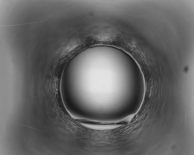 X0000098181301200805011027