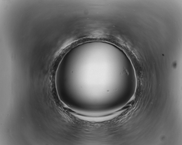 X0000098181304200805011027