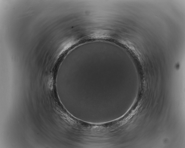 X0000098181306200805011027