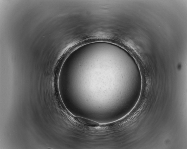 X0000098181307200805011027