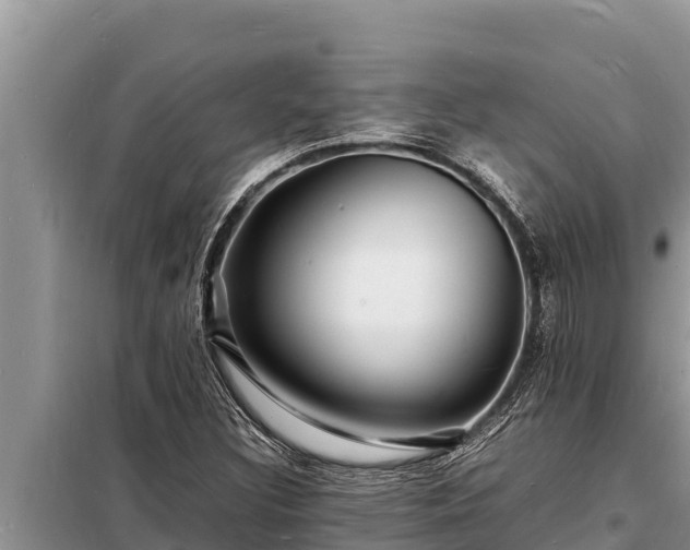 X0000098181308200805011027