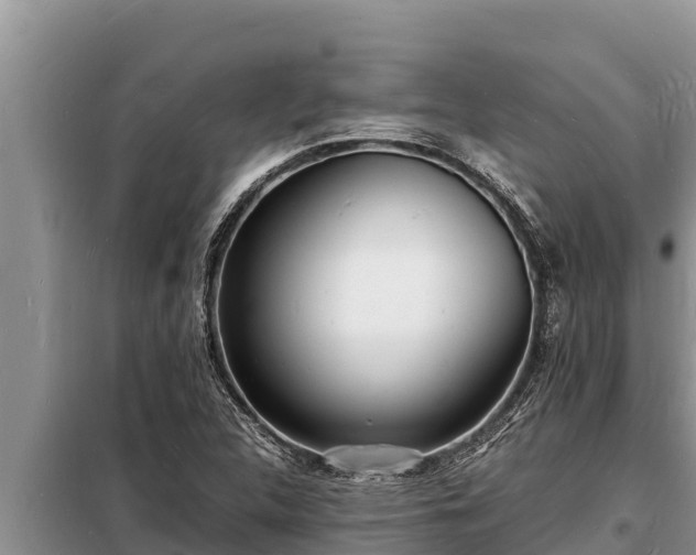 X0000098181312200805011027