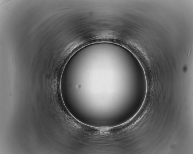 X0000098181313200805011027