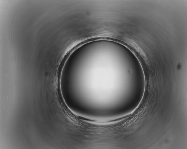 X0000098181316200805011027