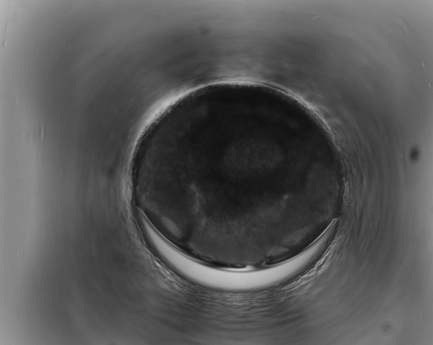 X0000098181319200805011027