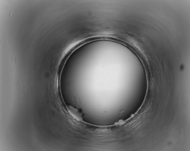 X0000098181320200805011027