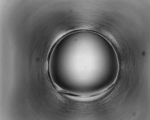 X0000098181324200805011027