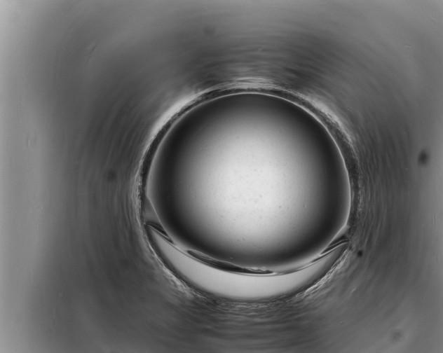 X0000098181325200805011027