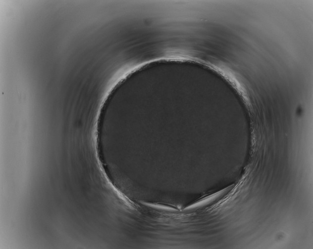X0000098181327200805011027
