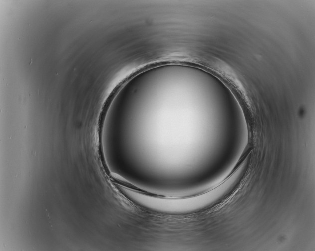 X0000098181328200805011027