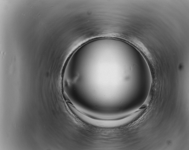 X0000098181332200805011027