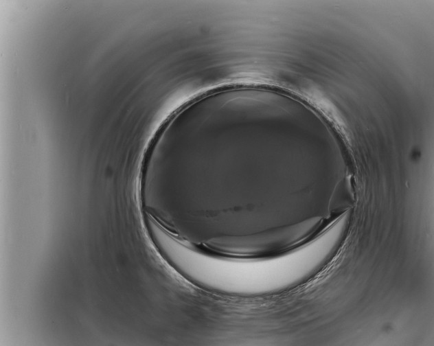 X0000098181334200805011027