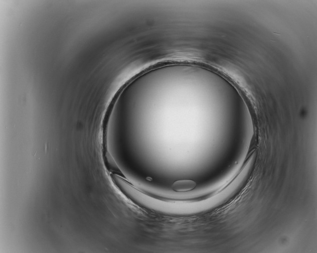X0000098181335200805011027