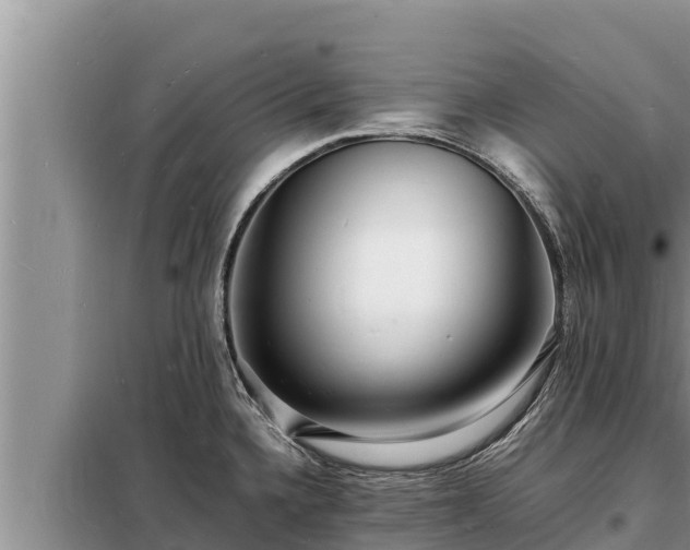 X0000098181336200805011027