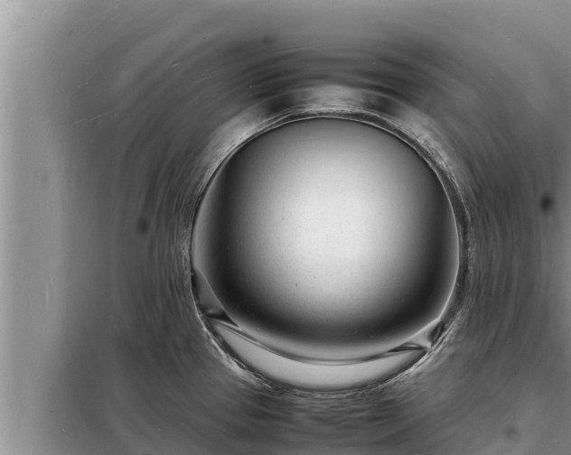 X0000098181337200805011027