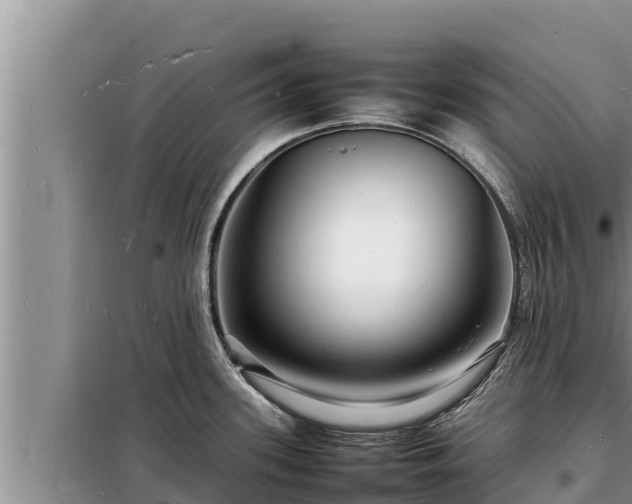 X0000098181339200805011027