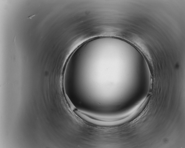 X0000098181340200805011027