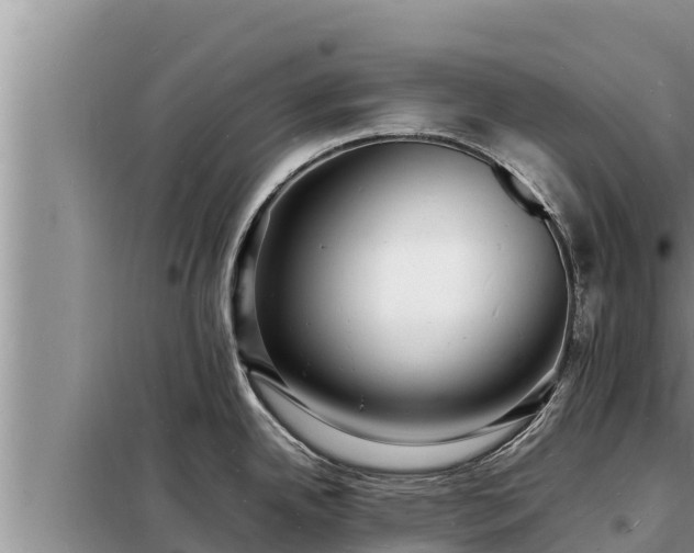 X0000098181342200805011027