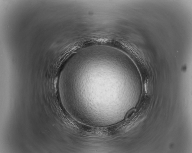 X0000098181347200805011026