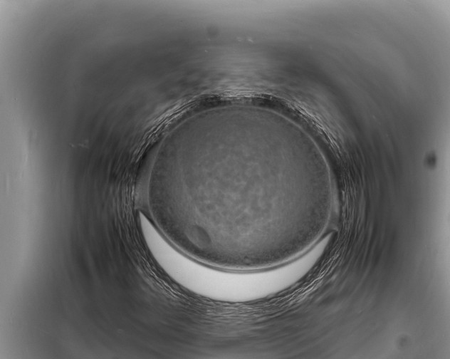 X0000098181348200805011026
