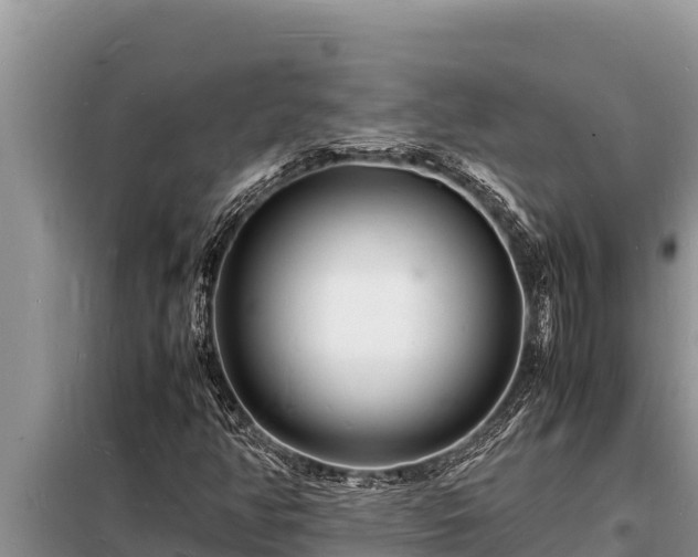 X0000098181350200805011026