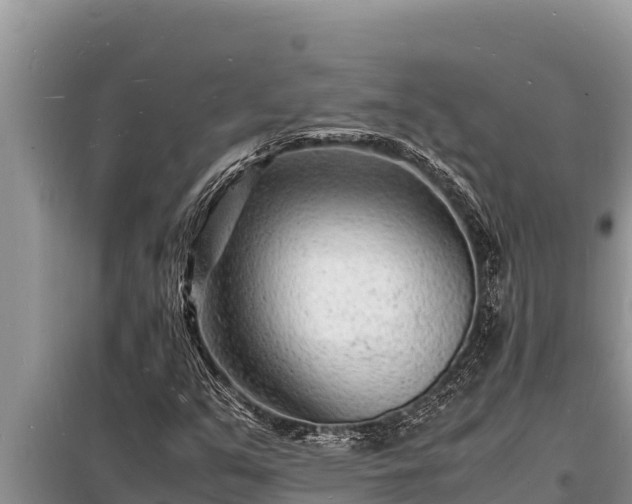 X0000098181351200805011026