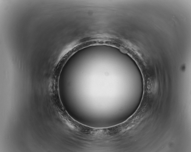 X0000098181352200805011026