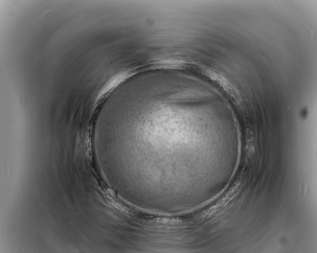 X0000098181354200805011026