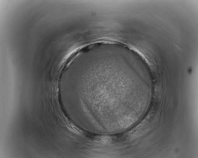 X0000098181355200805011026