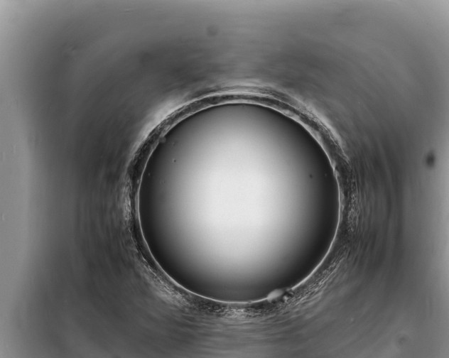 X0000098181360200805011026