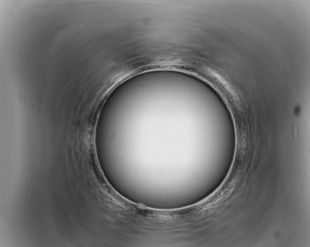 X0000098181361200805011026