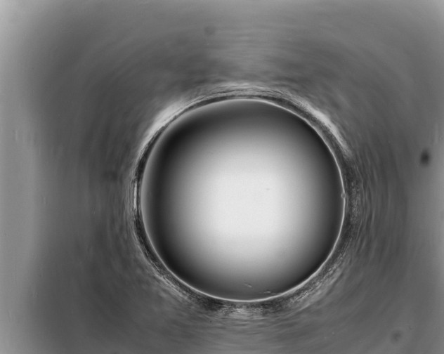 X0000098181365200805011026