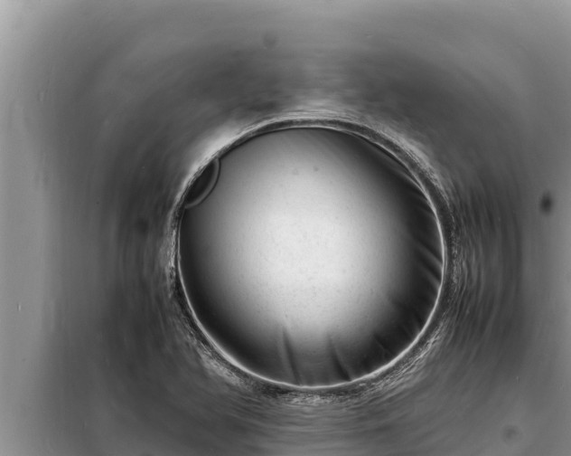 X0000098181366200805011026