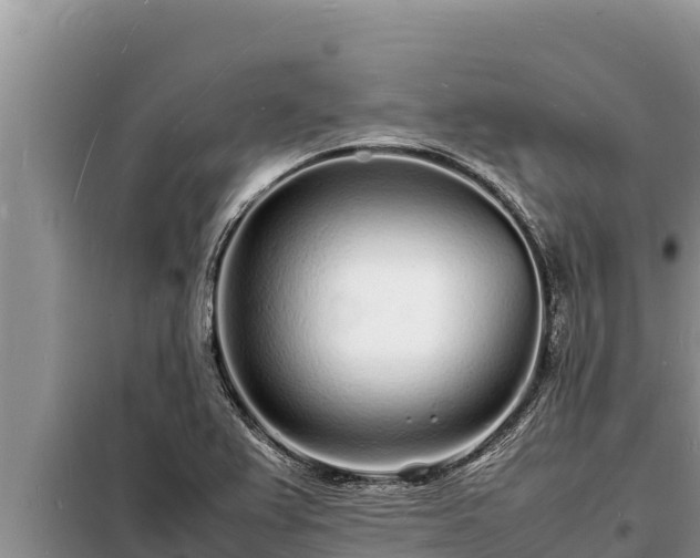 X0000098181367200805011026