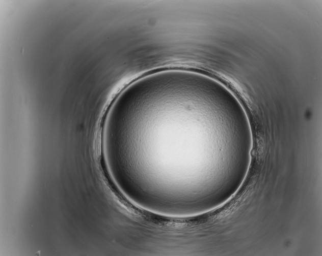 X0000098181371200805011026