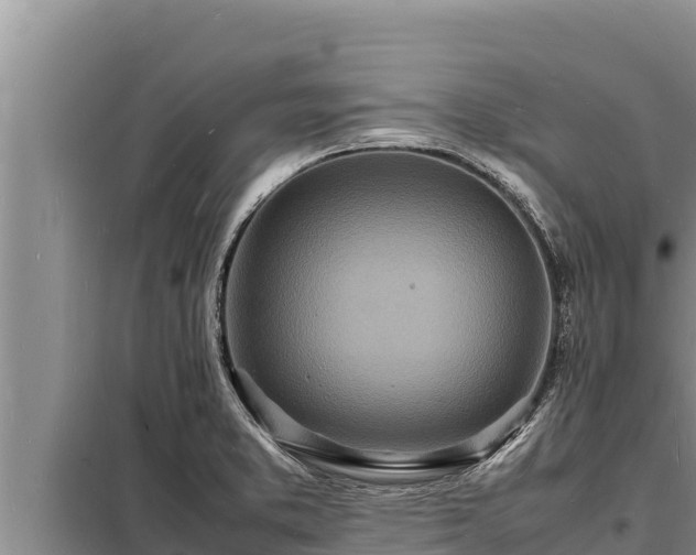 X0000098181373200805011026