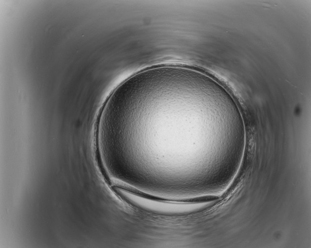 X0000098181375200805011026