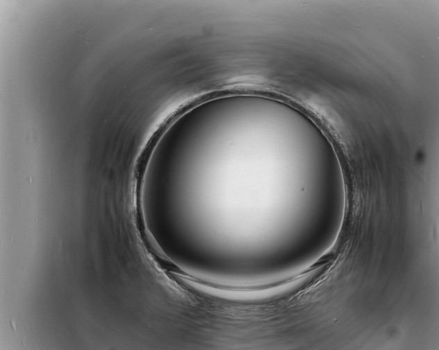 X0000098181376200805011026