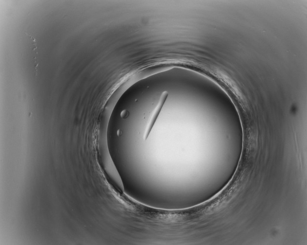 X0000098181377200805011026