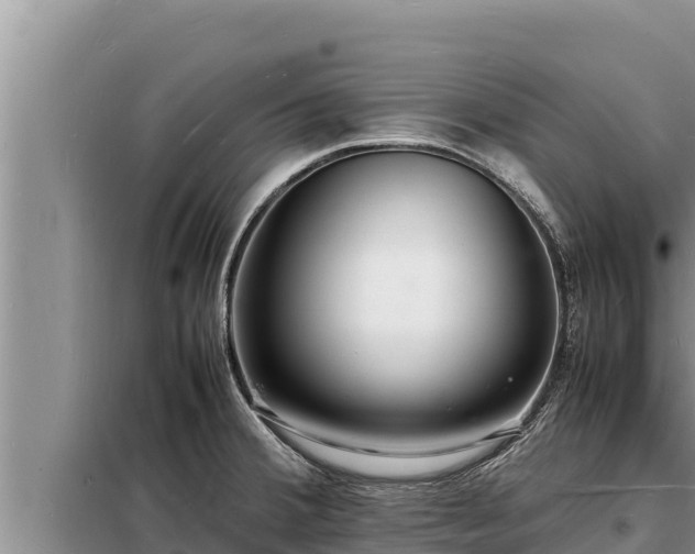 X0000098181380200805011026