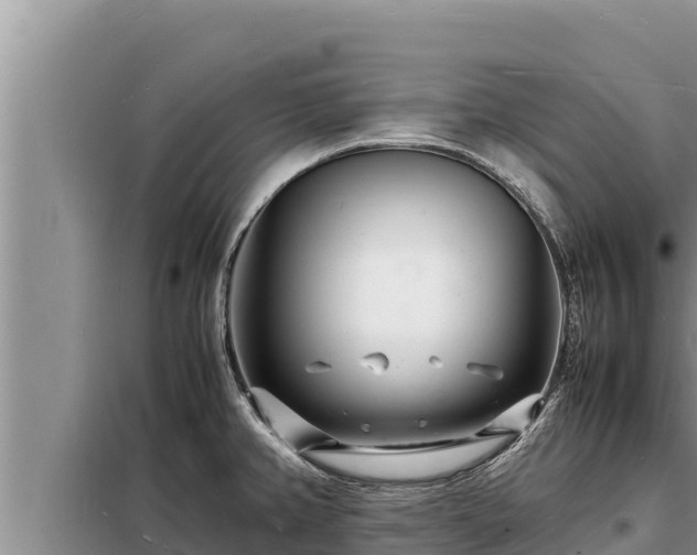 X0000098181382200805011026
