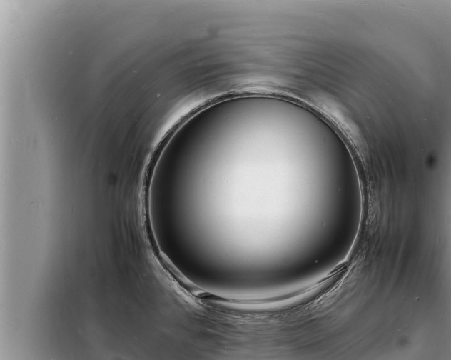 X0000098181384200805011026