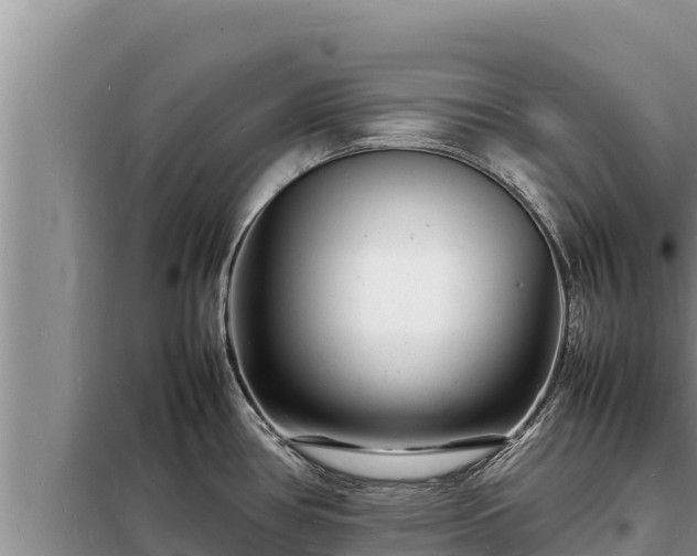 X0000098181386200805011026