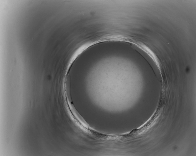 X0000098181389200805011026
