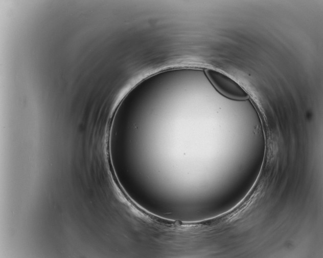 X0000098181390200805011026