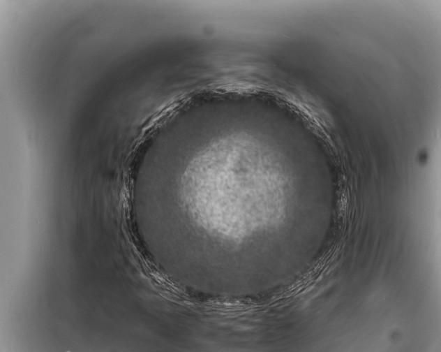 X0000098181397200805011025