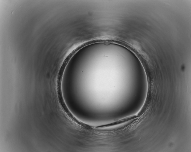 X0000098181412200805011025