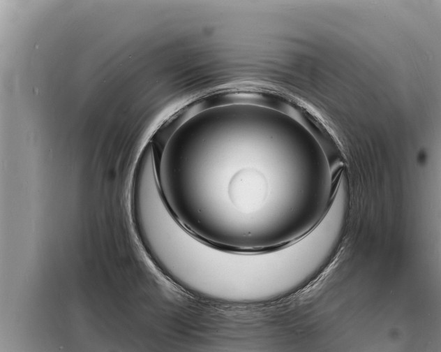 X0000098181418200805011026