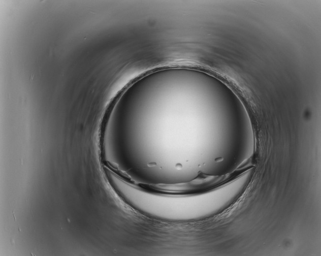 X0000098181422200805011026