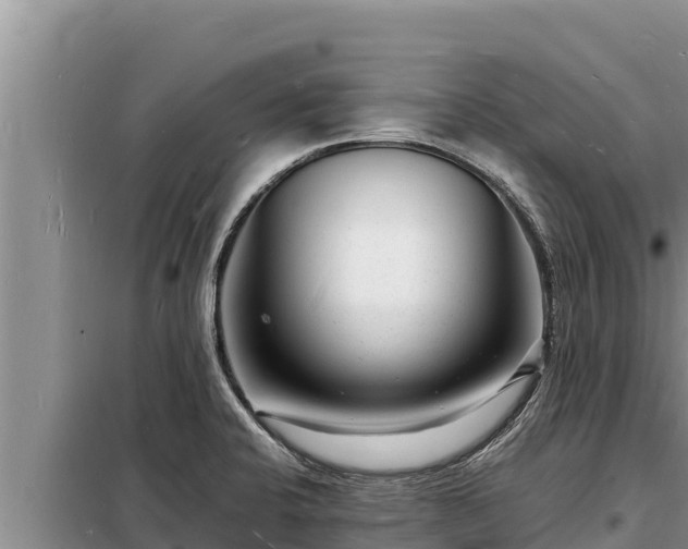 X0000098181424200805011026